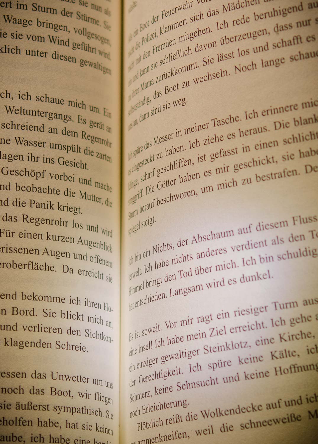 Blick ins Buch