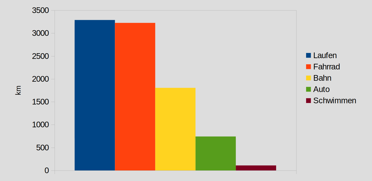 Bewegungsstatistik 2020