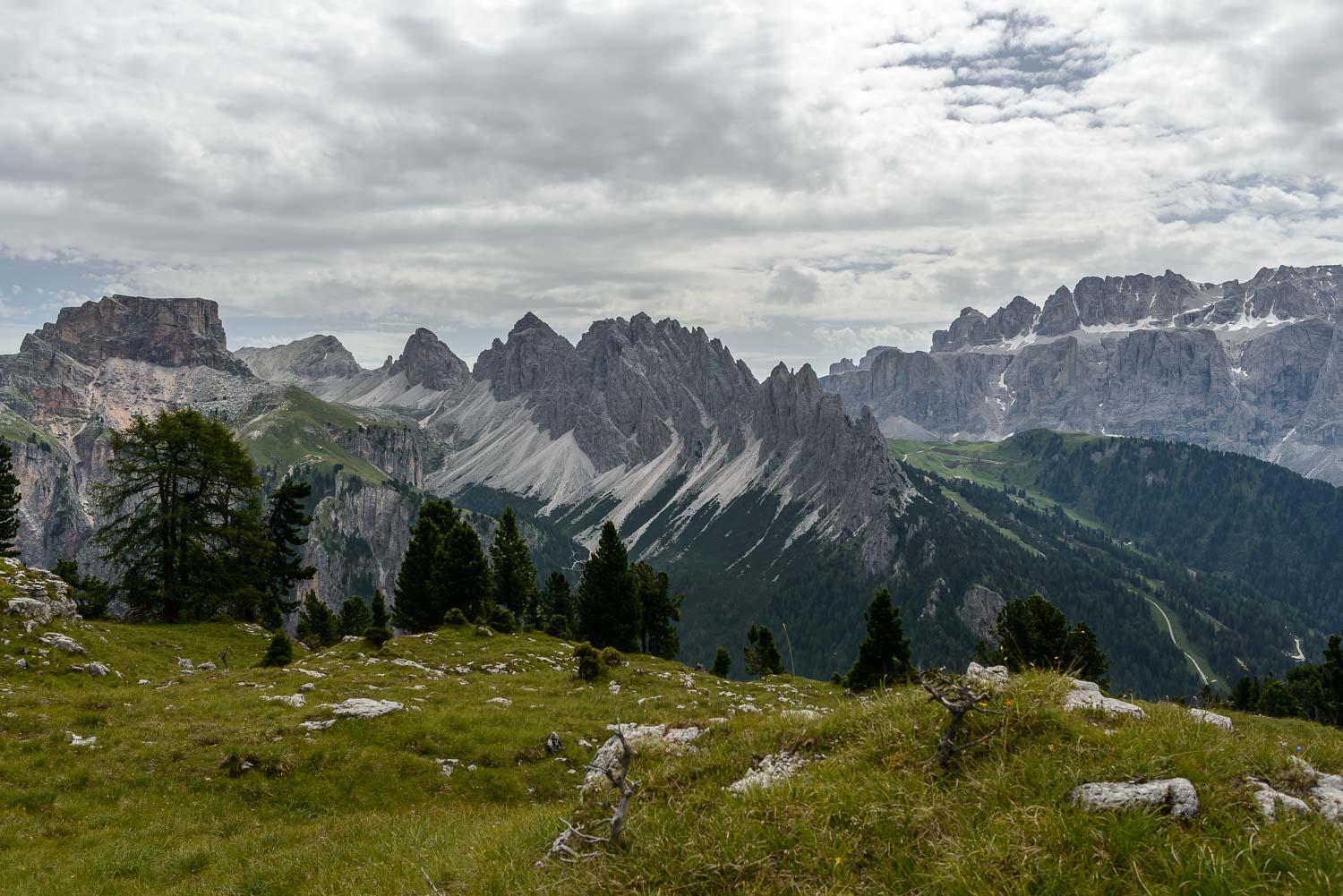 Ausblick von der Stevia